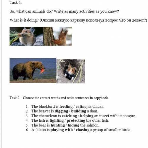 Task 1. So, what can animals do? Write as many activities as you know?What is it doing? (Опиши кажду