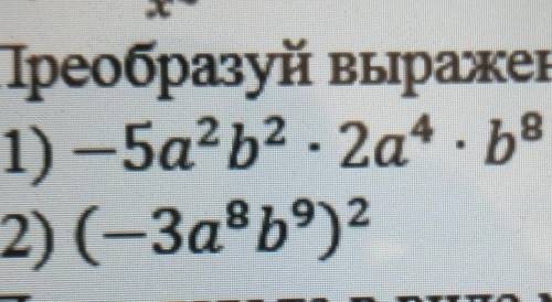 Преобразуйте выражение одночлена стандартного вида и укажите степень​