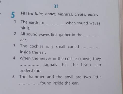 3f 5 Fill in: tube, bones, vibrates, create, outer.1 The eardrum when sound waves hit it.2All sound