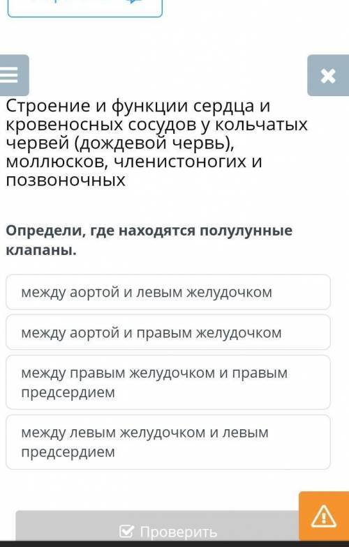 Определи, где находятся полулунные клапаны. между аортой и левым желудочкоммежду аортой и правым жел