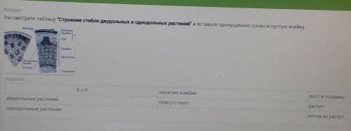 ОЧЕНЬ!БиологияЗаполните ячейку где написано однодольные растения!​