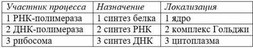 На рисунке изображена схема одного из процессов, который лежит в основе жизни. Укажите характерные д