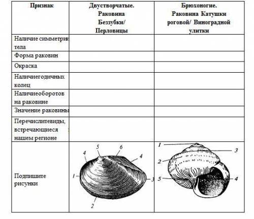 заполнить таблицу по биологии