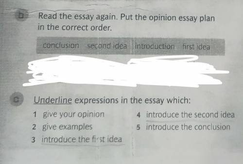 D Write an opinion essay about the future. Before you write, choose a subject fromthe box and think