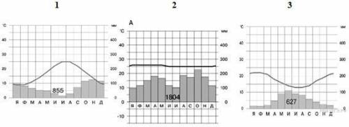 Определите, какому климатическому поясу соответствует каждая климатограмма. Подпишите название клима