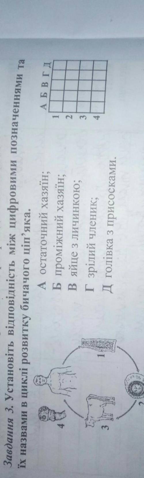 Д проміжний хазяйн людина та росло тварин, остаточншій хижаки. Зараження відбувається через брудні р