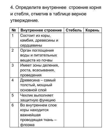 Определите внутреннее строение корня и стебля,отметив в таблице верное утверждение