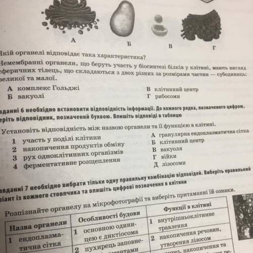 Установіть відповідність між назвою органели та її функцією в клітині