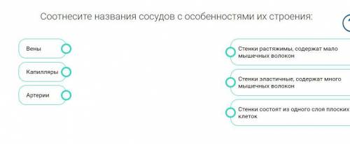 Биология за 8 класс. Вся информация на скрине. Писать так - что-то - что-то. Заранее благодарю за о