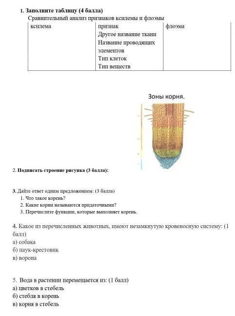 .Это сор а то мне родители сказали если не сдам то они меня прибудут умоляю как можно быстрее и да е