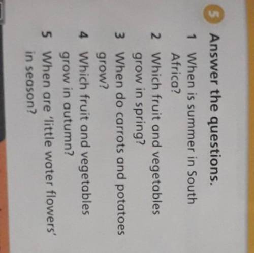 3 Answer the questions. 1 When is summer in SouthAfrica?2 Which fruit and vegetablesgrow in spring?3