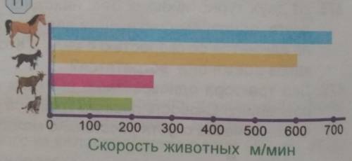 Решите задачу, используя информацию на диаграмме (рис. 11). Как быстро лошадьбежит быстрее собаки? С