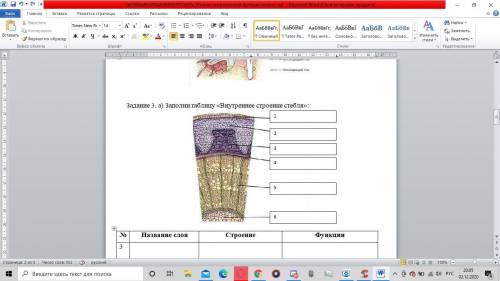 Задание 3. а) Заполни таблицу «Внутреннее строение стебля»: