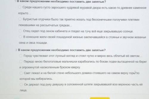 В каком предложении необходимо поставить две запятые? ​