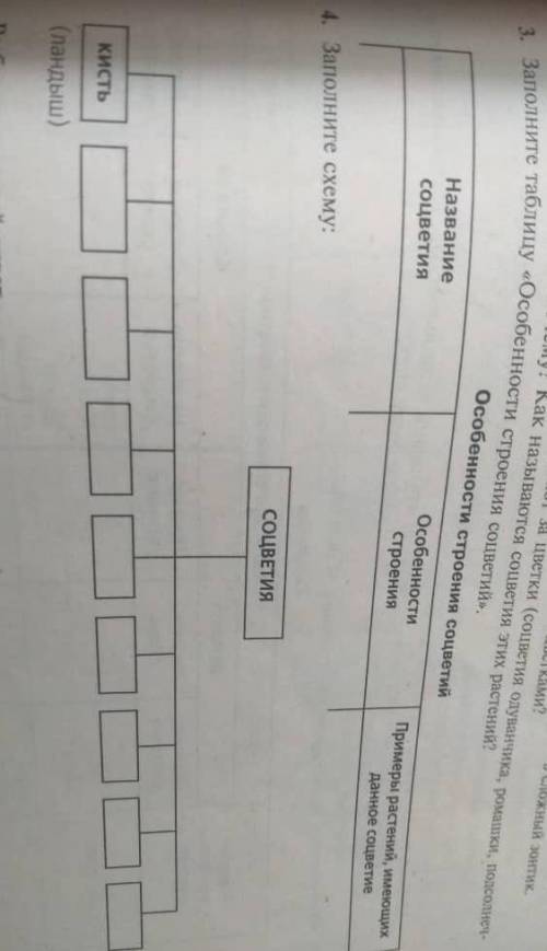 БИОЛОГИЯ 3 и 4 задание таблица и схема