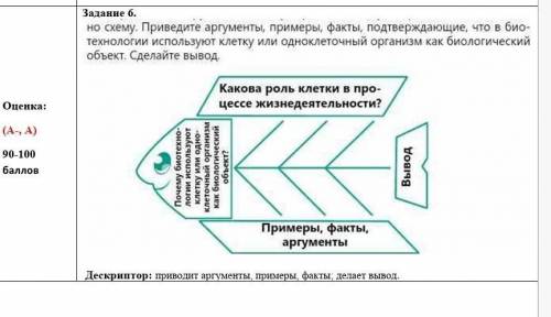 Шестое Задание До Завтра Выполнить иОк Ок ​