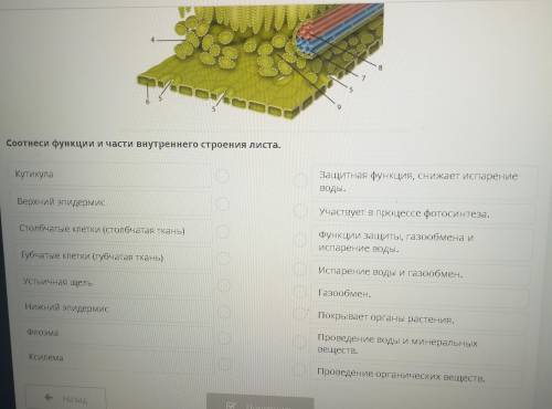 Биология 7 класс Онлайн мектеп