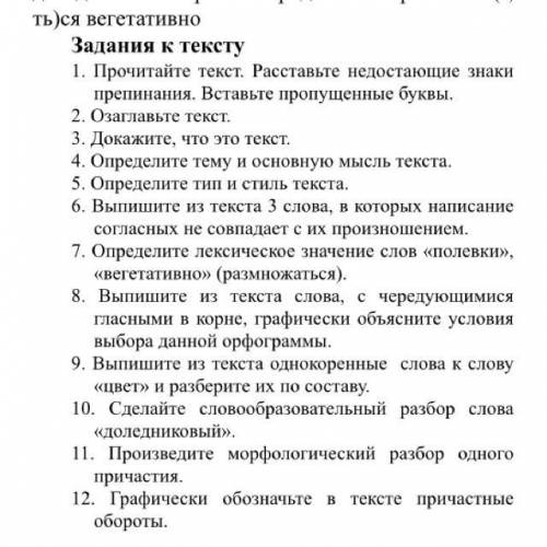 В тундре, покрытой девять месяцев снегом, своеобразная растительность. Изумительны эти необыкновенны