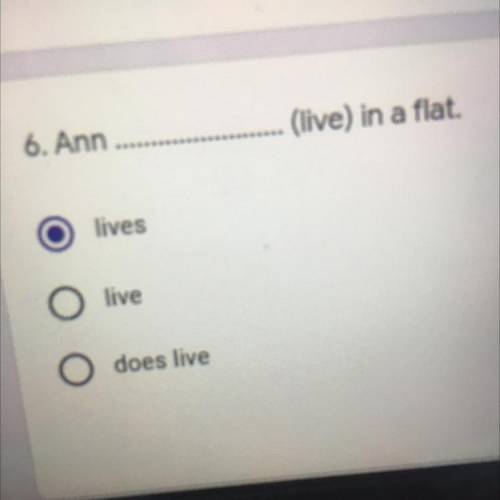 6. Ann (live) in a flat. lives live does live HELP ME PLS