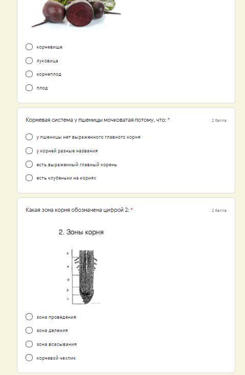 Для чего служит корневой чехлик? * Для роста корня Для защиты кончика корня от повреждений и уменьше