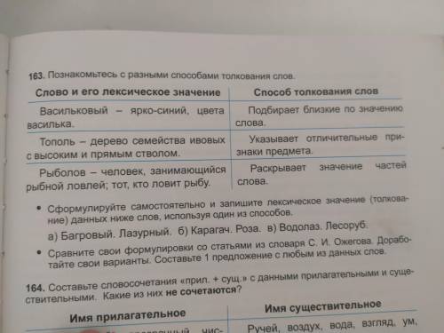 с русским языком Л.М.Бреусенко 5 класс 163 упражнение 95 страница