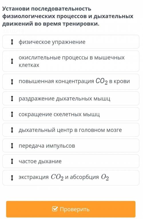 установи последовательность физиологических процессов и дыхательных движений во время тренировки.​