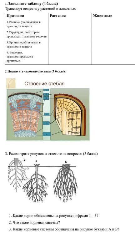 .От ответьте на вопрос это СОР а кто ответит не правильно получит бан ​