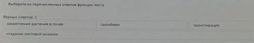 Выберите из перечисленных ответов функции листа Верных ответов: 2закрепление растения в почвегазообм