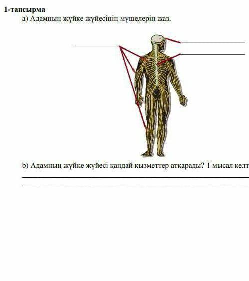 Кімде бар өтініш жаратылыстану пәнінен сабақ бар​