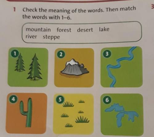 3 Complete the sentences with the plural forms of the nouns in exercise 1.1 In winter, there is a lo