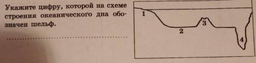 Укажите цифру, который на схеме строения океанического дна обозначен шельф ?.​