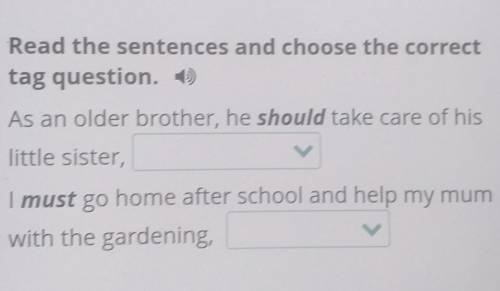 Read the sentences and choose the correct tag question. )As an older brother, he should take care of