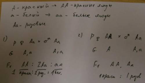 с задачами (Биология) 1.При скрещивании красноплодная земляники между собой всегда образуются красны