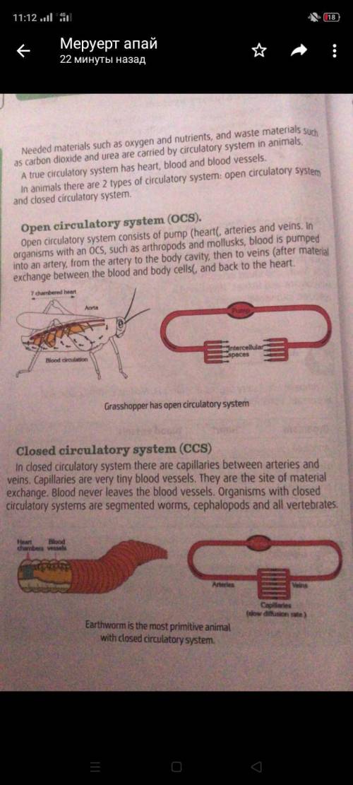 Literacy 1. Blood is entering arm artery. How many capillary beds (networks( will this blood pass un