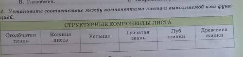 4. Установите соответствие между компонентами листа и выполняемой ими функ- цией.СТРУКТУРНЫЕ КОМПОНЕ