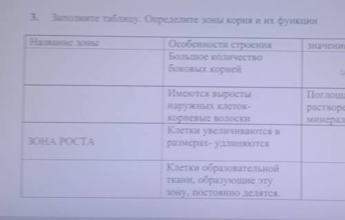 Заполните таблицу. Определите зоны корня и их функции 3.ЗначениеНазвание зоныОсобенности строенияБол