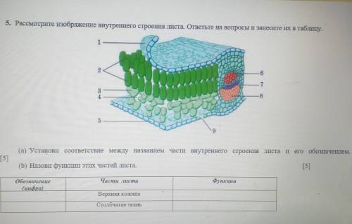 с пятым заданием по биологии Понятно кратко задание 4 каждого предложения группе животных подберите