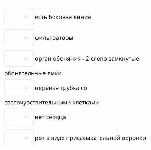 Установите соответствие между классами хордовых и их признаками. 1. Ланцетники. 2. Круглоротые. 3. К