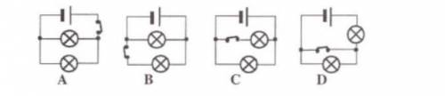 В какой цепи можно выключить обе лампочки одним выключателем?​