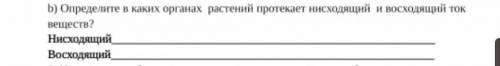 B) Определите в каких органах растений протекает нисходящий и восходящий ток веществ?НисходящийВосхо