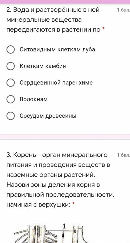 корневой чехлик, зона деления клеток, зона роста, зона всасывания, зона проведениязона роста, зона в