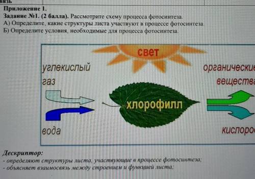 по биологии , задание номер 1 А и Б​