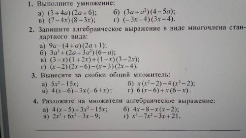 АЛГЕБРА 7 КЛАСС сделать 2 и 3 задание