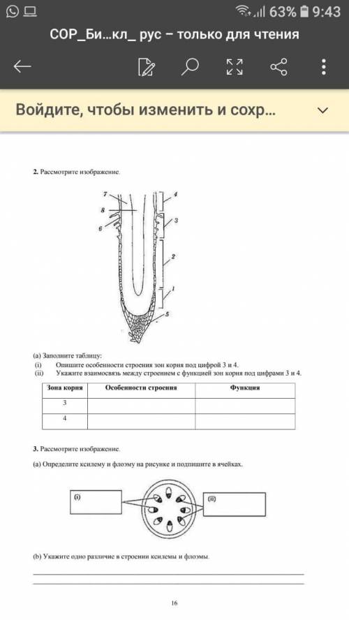 Соч 7 класс выполните до 12 00 плз