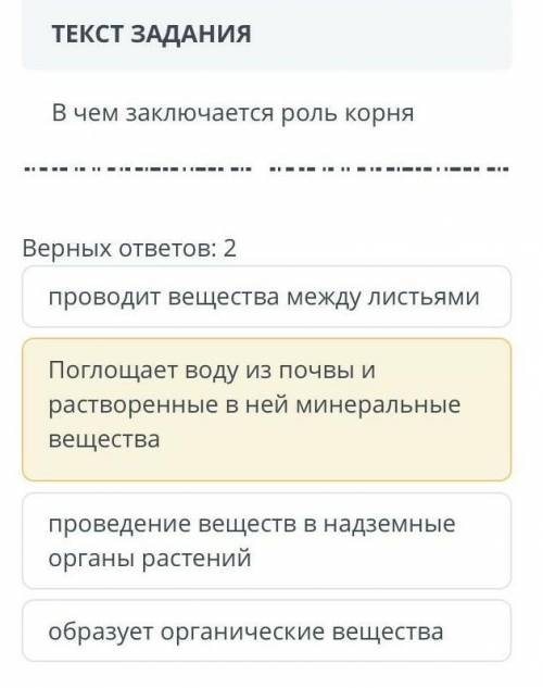 В чем заключается роль корня?​