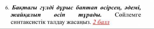 Сөйлемге синтаксистік талдау жасаңыз