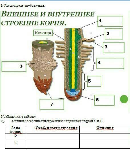 Нужна от опотного человека!​