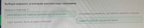 Выбери вариант, в котором указана пара омонимов. Верных ответов: 2курс жизни, быть в курсе событийра