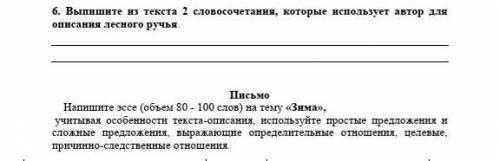 с этим заданием у меня СОР по русскому языку тут надо писать письмо по теме Зима только письмо