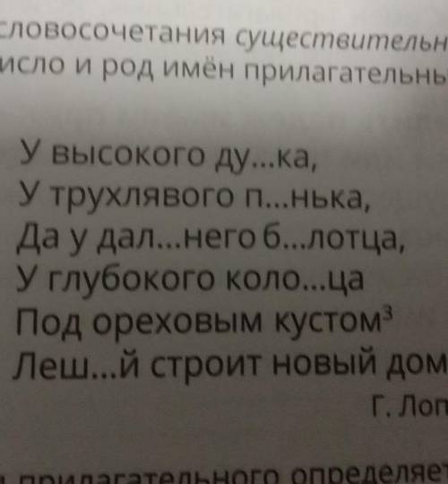 Выпиши словосочетания существительное прилагательное Определить число и род имён прилагательных обоз